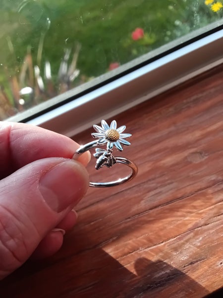 Bee and Daisy Ring Carousel 1