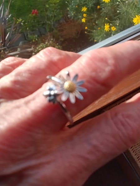 Bee and Daisy Ring Carousel 2