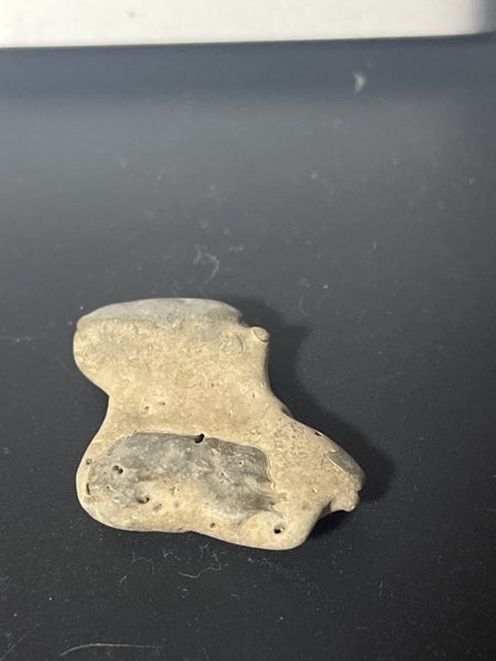 twins crab fossil Carousel 2
