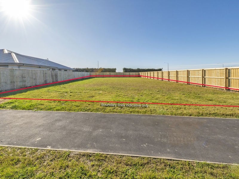 Super sunny section!64735974315395113