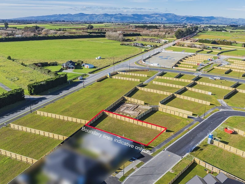 Super sunny section!64735974315395114