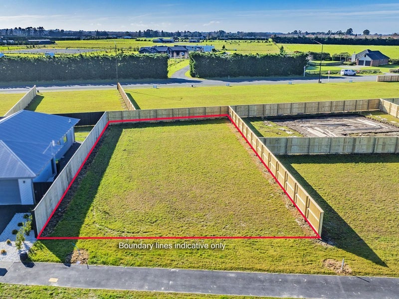 Super sunny section!64735974315395112