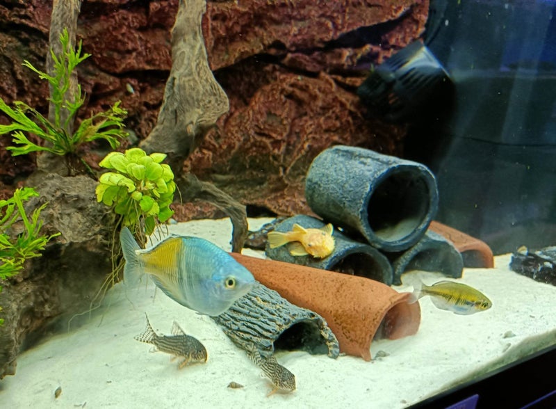 Silica Sand 18kg Comes in 10 Litre Bucket Carousel 1