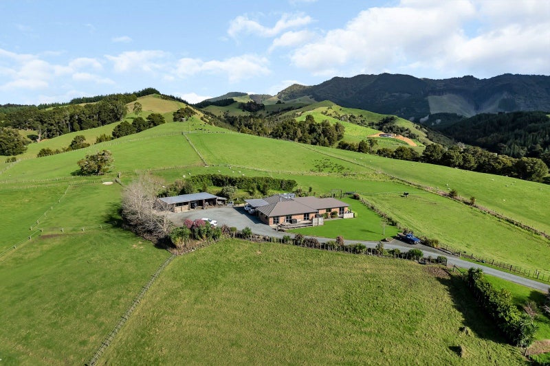 Image 1 of 31
