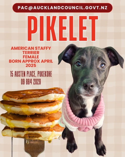 Pikelet-Pukekohe Adoption Centre Carousel 1