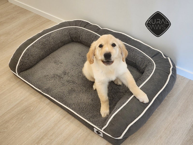 Rural Paws Memory foam dog sofa pet bed 100x70cm63676674592387110