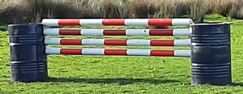 .JUMP CUPS FOR BARRELS...top pole-95cm - IN STOCK Carousel 2