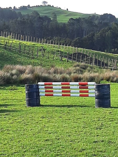 .JUMP CUPS FOR BARRELS...top pole-95cm - IN STOCK Carousel 3