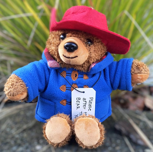 COLLECTABLE PADDINGTON BEAR (20CM) Plush Soft Toy B-Day I Valentines Day Gift Carousel 2
