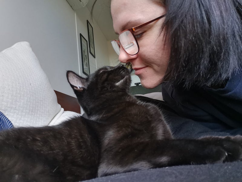 PONYO - KITTEN AVAILABLE FOR ADOPTION - PET WHISPERER RESCUE Carousel 2
