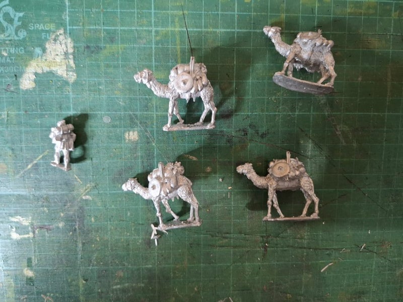 Foundry 28mm EIR army Carousel 1