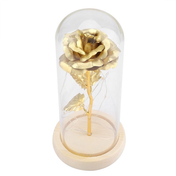 rose flower with glass cover Preserved Rose Flower LED Light with Glass Cover Carousel 2