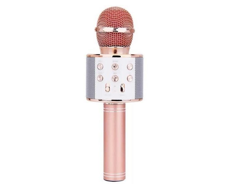 5-in-1 Portable Wireless Bluetooth Karaoke Microphone - Rose Carousel 1