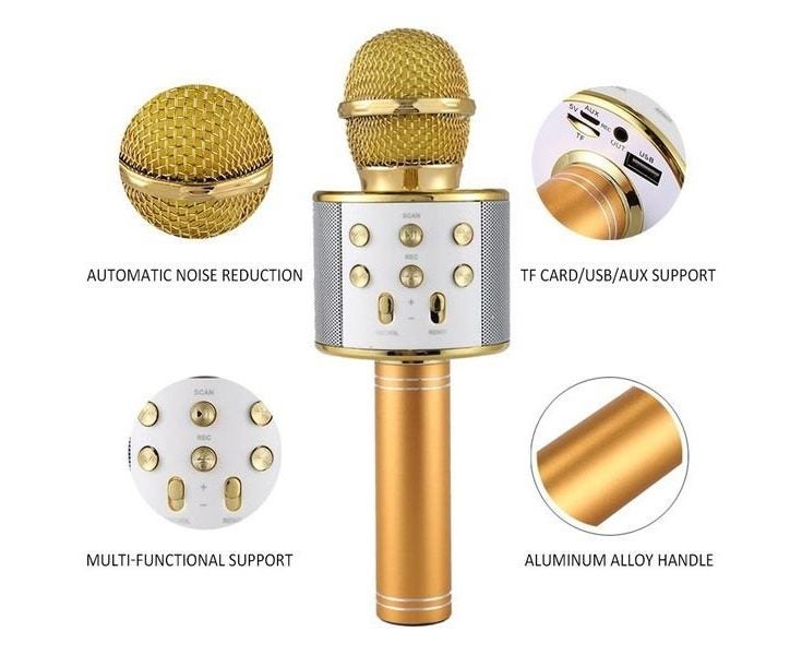 5-in-1 Portable Wireless Bluetooth Karaoke Microphone - Rose Carousel 2