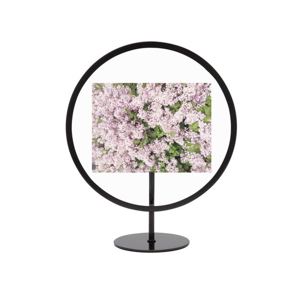 Umbra Infinity Floating Round Picture Frame - 10cm x 15cm Black Carousel 2