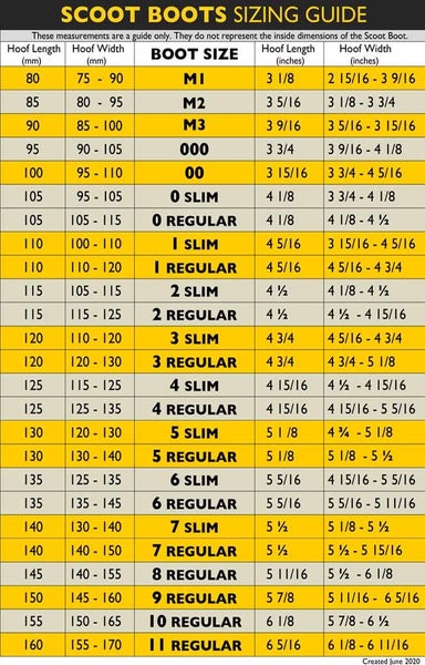 Scoot Boot Single new Carousel 10
