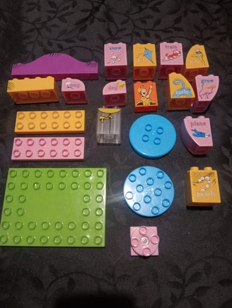 Girls Duplo and MegaBlocks lot Carousel 2