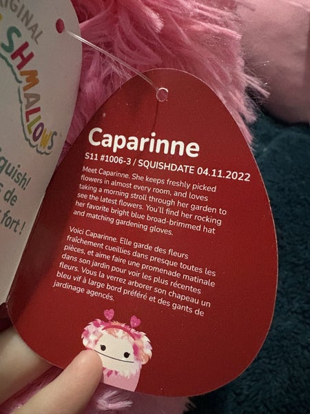 Squishmallows Caparinne Carousel 3