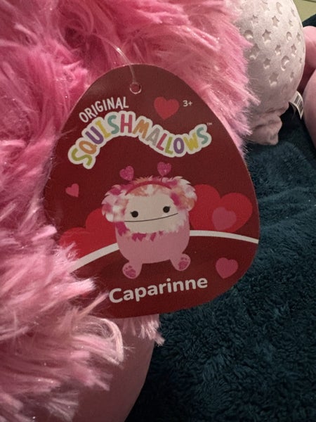 Squishmallows Caparinne Carousel 2