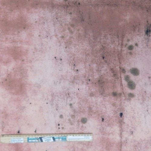 Quilting Patchwork Fabric Eclectic Elements Grunge Rose 50x55cm FQ Carousel 1