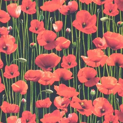 Patchwork Quilting Sewing Fabric ANZAC Poppys 50x55cm FQ Carousel 2
