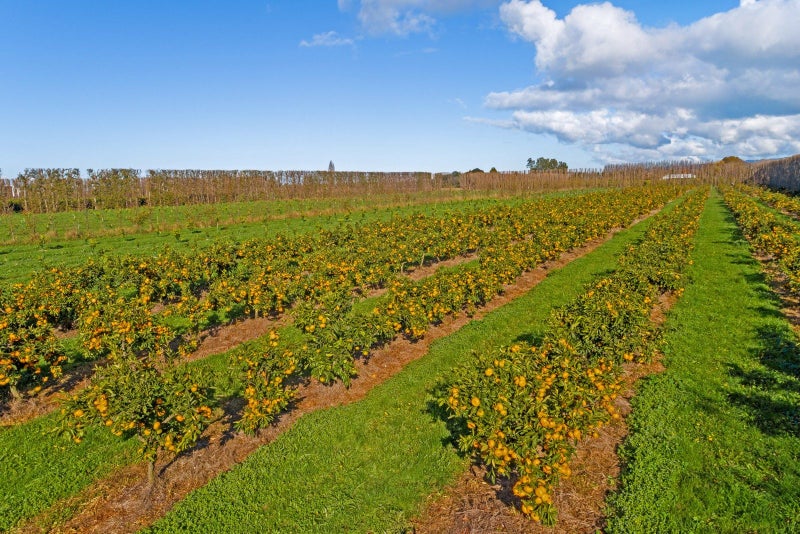 Image 2 of 15