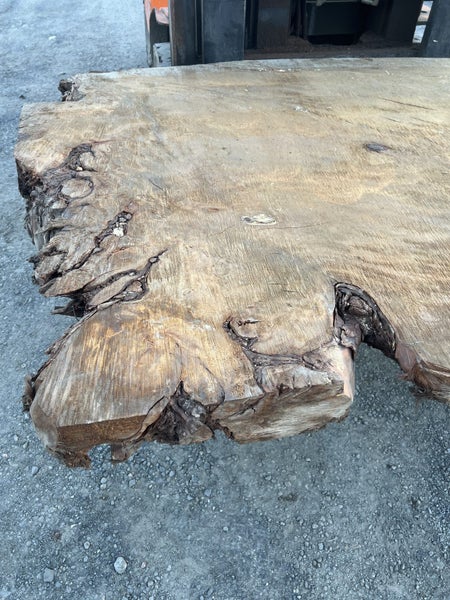 Kiln dried Ancient Swamp Kauri Slab – 2150 x 1450 x 150mm Rare Ancient Timber63614232894209114