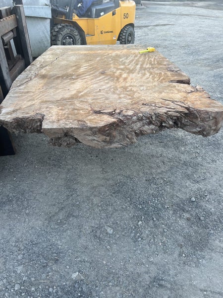 Kiln dried Ancient Swamp Kauri Slab – 2150 x 1450 x 150mm Rare Ancient Timber63614232894209113