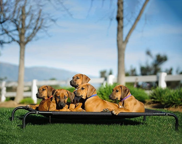 Dog Hammock Trampoline Bed XL Carousel 2