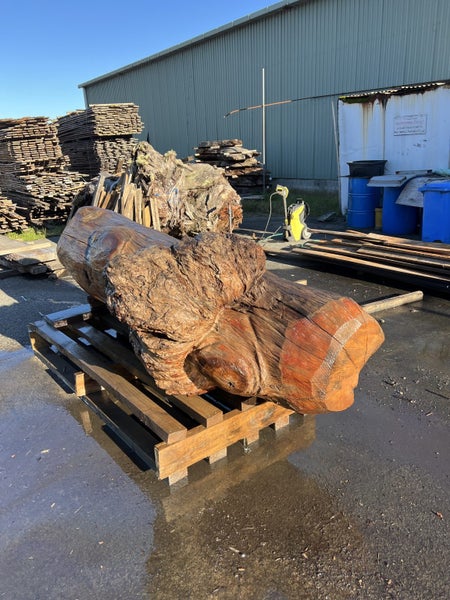 800kg Ancient Kauri Burl Log – Natural Art / Collector’s Showpiece Carousel 2