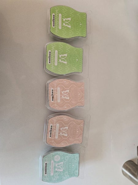 Scentsy bulk Carousel 1