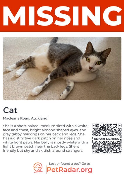 LOST CAT - BUCKLANDS BEACH, AUCKLAND Carousel 5