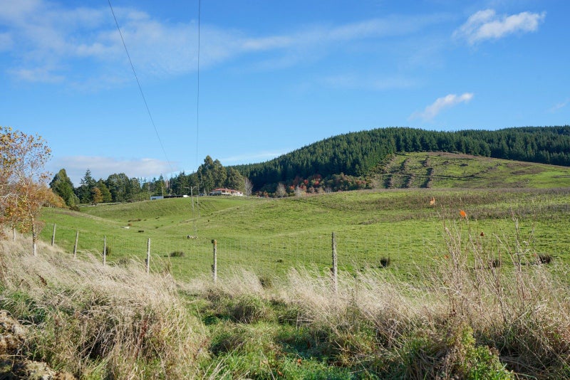 Image 1 of 46