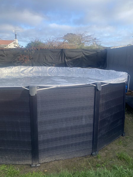 Graphite para rubber pool64191677259523114