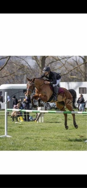 Schoolmaster63614394976515113