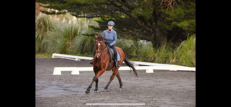 Schoolmaster63614394976515111