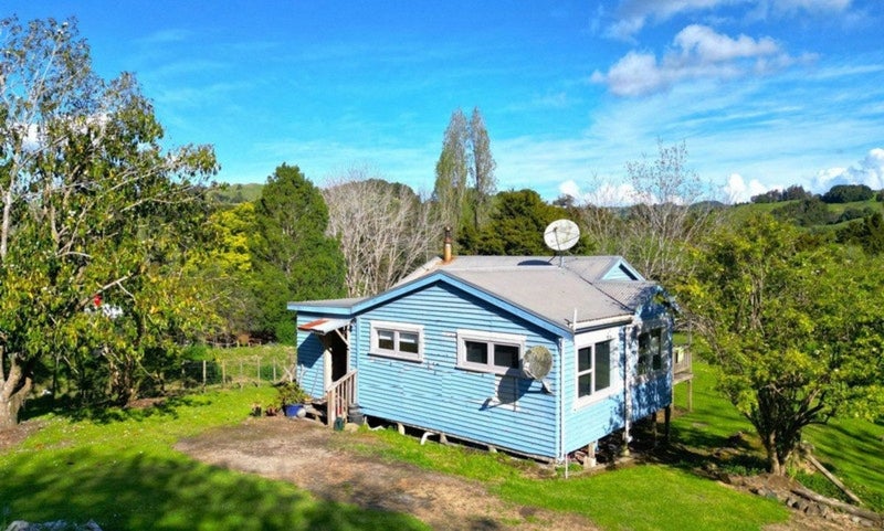 Image 3 of 41