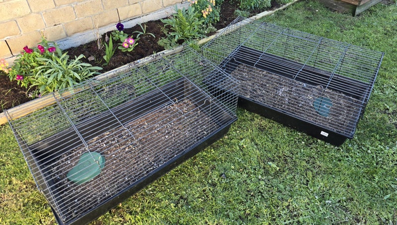 Pet cage for guinea pigs, rabbits or other pets. Carousel 1