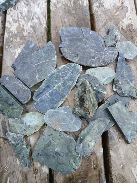 Nelson Region Stone Slices Carousel 1
