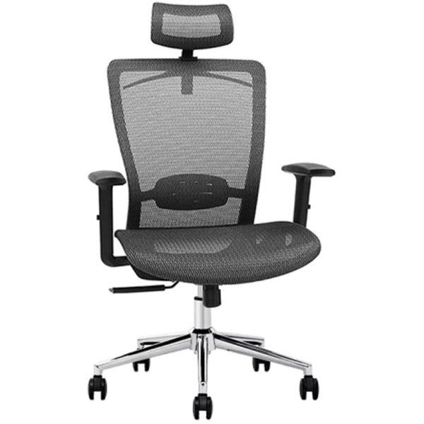 *** Loctek Ergonomic Chair $1 Res *** Carousel 1