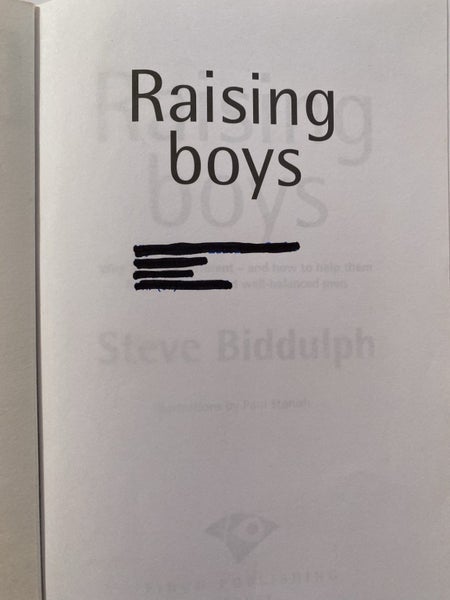 Raising Boys by Steve Biddulph Carousel 3