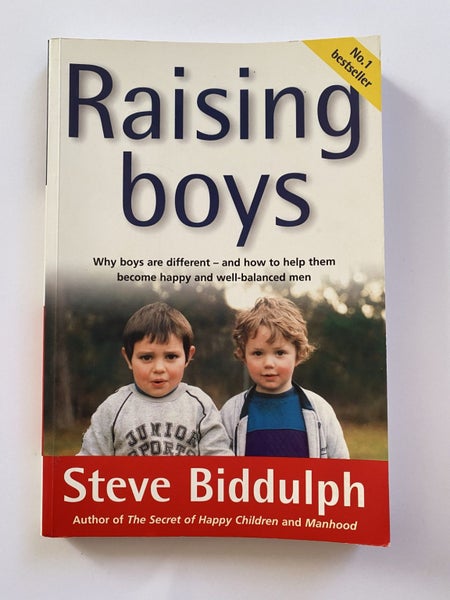 Raising Boys by Steve Biddulph Carousel 1