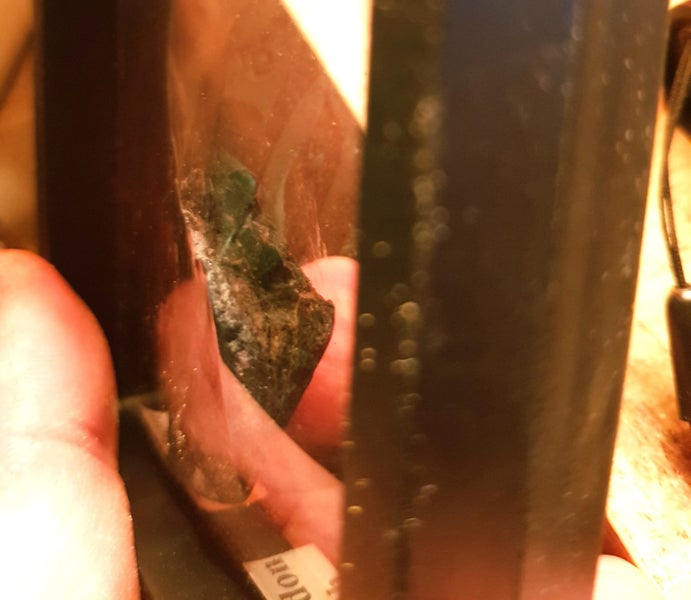 Megalodon Tooth Fossil in Display Case 15 Million yrs Old! Carousel 4
