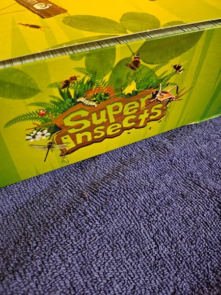Super Insects Countdown collectable cards. Carousel 1