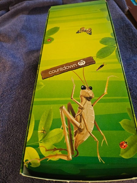 Super Insects Countdown collectable cards. Carousel 2