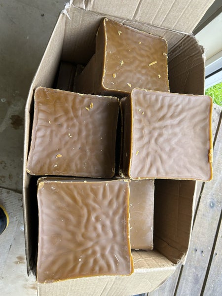 Beeswax Carousel 1