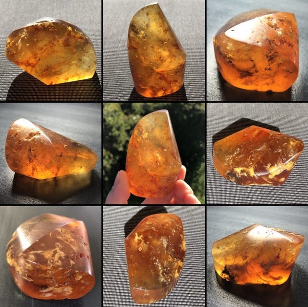 3 DAY AUCTION: 7.3cm NZ Kauri Gum Display Piece, $1 Reserve Carousel 1