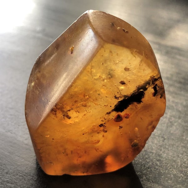 3 DAY AUCTION: 7.3cm NZ Kauri Gum Display Piece, $1 Reserve Carousel 2