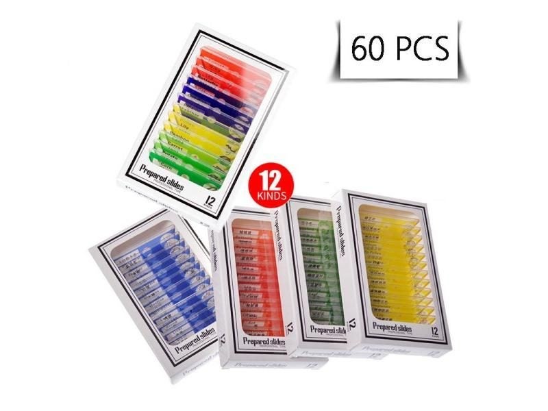 48/60Pcs Prepared Plastic Microscope Slides For Children Student Education Carousel 1