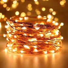 20m Plug-in Copper Wire Seed String Fairy Lights - Warm White Carousel 2